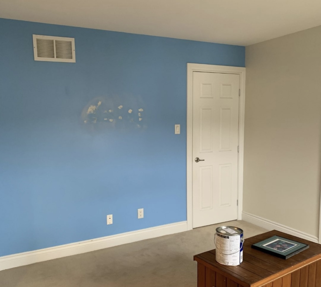 Contractor Painting